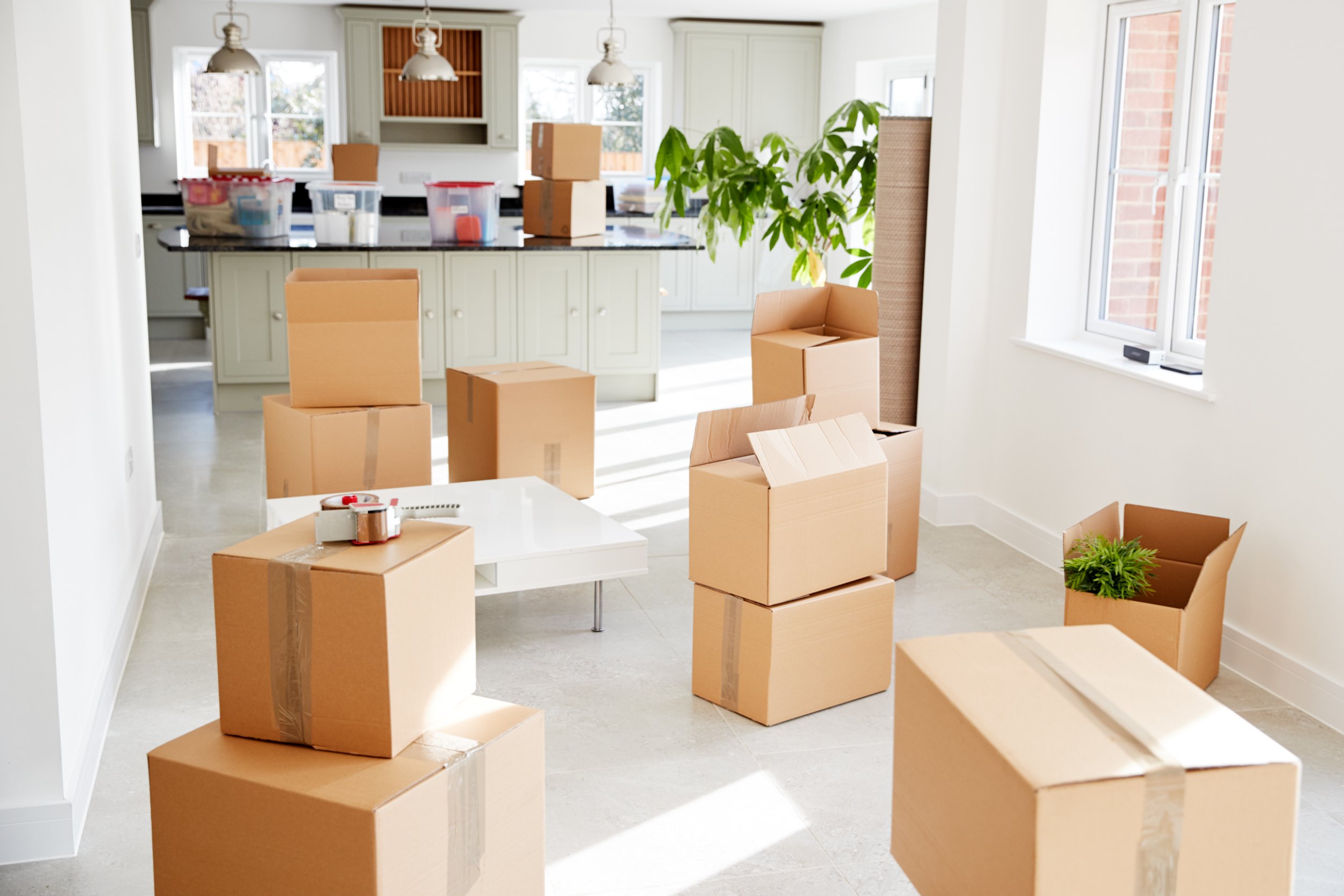 Town N Country FL Professional Movers Near Me
