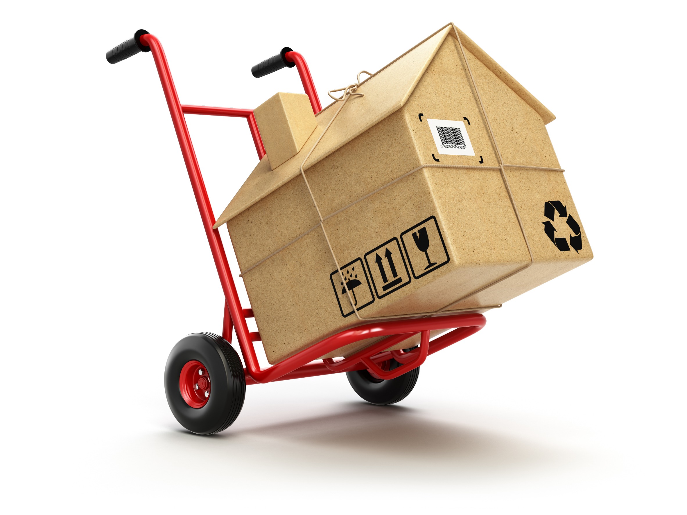 Town N Country FL Local Move Moving Company Near Me